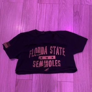 Florida State Cropped Tee